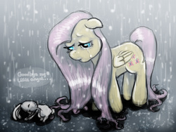 Size: 2000x1500 | Tagged: safe, artist:telimbo, angel bunny, fluttershy, pegasus, pony, rabbit, g4, animal, dead, female, mare, rain, sad