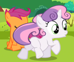 Size: 640x540 | Tagged: safe, screencap, scootaloo, sweetie belle, g4, lesson zero, animation error, cropped