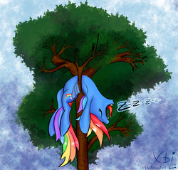 Size: 1672x1601 | Tagged: safe, artist:xbi, rainbow dash, pony, g4, backbend, female, flexible, open mouth, sleeping, snoring, solo, tongue out, tree, zzz