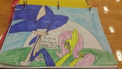Size: 5312x2988 | Tagged: safe, artist:flowerswirlpower1182, fluttershy, g4, crossover, male, sonic the hedgehog, sonic the hedgehog (series), traditional art