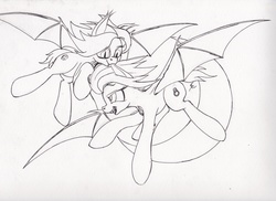 Size: 2338x1701 | Tagged: safe, artist:scribblepwn3, oc, oc only, oc:gemma, oc:lapis, bat pony, pony, ear bite, flying, monochrome, pen drawing, traditional art, twins, wip