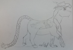 Size: 4169x2873 | Tagged: safe, artist:gabriel-titanfeather, oc, oc only, oc:hard cider, hippogriff, braid, braided tail, claws, fat, fluffy, hat, male, monochrome, pencil drawing, ponytail, solo, traditional art