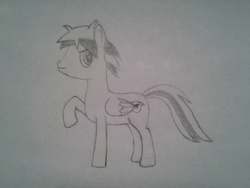 Size: 2560x1920 | Tagged: safe, artist:renardprower, oc, oc only, oc:renard prower, pegasus, pony, looking back, male, monochrome, pencil drawing, raised hoof, simple background, solo, traditional art, white background