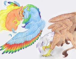 Size: 6136x4808 | Tagged: safe, artist:dawn22eagle, applejack, gilda, rainbow dash, earth pony, griffon, pegasus, pony, g4, absurd resolution, angry, colored wings, crying, female, interspecies, lesbian, multicolored wings, rainbow feathers, rainbow wings, ship:appledash, ship:gildash, shipping, smiling, wings