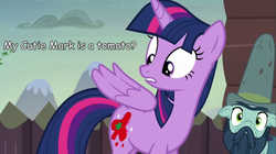Size: 1440x805 | Tagged: safe, screencap, big daddy mccolt, twilight sparkle, alicorn, pony, g4, the hooffields and mccolts, female, image macro, mare, mccolt family, meme, tomato, twilight sparkle (alicorn)