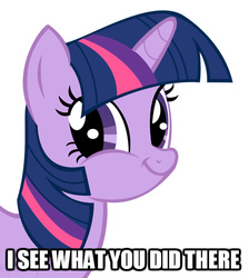 Size: 500x557 | Tagged: safe, twilight sparkle, g4, caption, exploitable meme, faic, female, i see what you did there, image macro, meme, reaction image, smirk, solo, text, twiface