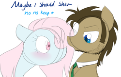 Size: 1280x814 | Tagged: safe, artist:estrill, doctor whooves, time turner, oc, oc:nooby, pony, g4, beard, male, stallion
