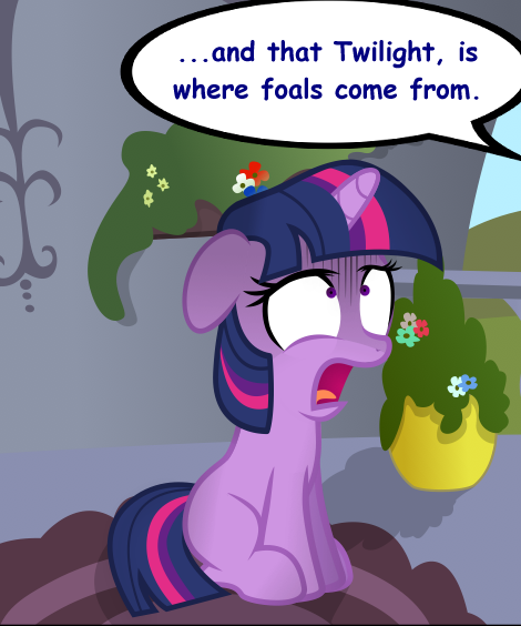 Twilight Sparkle Sex