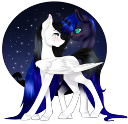 Size: 1024x991 | Tagged: safe, artist:doodle-28, oc, oc only, pegasus, pony, unicorn, night