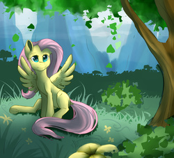 Size: 3300x3000 | Tagged: safe, artist:mimkage, fluttershy, g4, female, forest, high res, sitting, solo, spread wings
