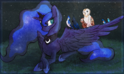 Size: 2000x1198 | Tagged: safe, artist:tiothebeetle, princess luna, alicorn, bird, blue jay, owl, pony, g4, female, night, prone, solo, spread wings