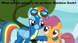 Size: 1673x929 | Tagged: safe, edit, edited screencap, screencap, rainbow dash, scootaloo, pegasus, pony, g4, newbie dash, caption, cutie mark, discovery family logo, female, filly, foal, image macro, lip bite, mare, meme, out of context, the cmc's cutie marks, what are we gonna do on the bed?, wonderbolts uniform