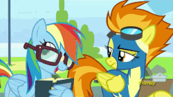 Size: 500x281 | Tagged: safe, screencap, rainbow dash, silver lining, silver zoom, spitfire, wind waker, pegasus, pony, g4, newbie dash, animated, annoyed, book, broken glasses, clipboard, discovery family logo, female, frown, gif, glare, glasses, goggles, male, mare, one wing out, open mouth, paper, rainbow dork, raised eyebrow, reading rainboom, smiling, spitfire is not amused, stallion, talking, unamused, wing hands, wing hold, wings, wonderbolts, wonderbolts uniform