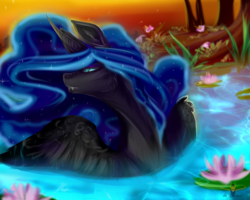 Size: 1600x1280 | Tagged: safe, artist:1cassar, nightmare moon, g4, female, lilypad, pond, signature, solo, water