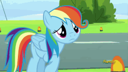 Size: 500x281 | Tagged: safe, screencap, rainbow dash, g4, newbie dash, alternate hairstyle, animated, behaving like fluttershy, care mare, discovery family logo, female, solo