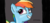 Size: 1006x467 | Tagged: safe, artist:mojo1985, rainbow dash, g4, my little pony: friendship is magic, newbie dash