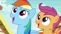 Size: 960x540 | Tagged: dead source, safe, screencap, rainbow dash, scootaloo, pegasus, pony, g4, newbie dash, animated, cute, cutealoo, dashabetes, discovery family logo, female, filly, foal, gif, looking up, mare, nodding, open mouth, spread wings, wings