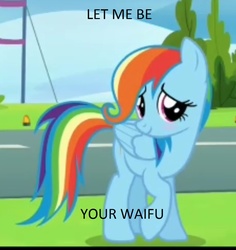 Size: 966x1024 | Tagged: safe, screencap, rainbow dash, g4, newbie dash, alternate hairstyle, behaving like fluttershy, bronybait, care mare, needs more jpeg, waifu