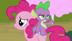 Size: 500x281 | Tagged: safe, screencap, cultivar, noi, papa beard, pinkie pie, spike, dragon, earth pony, pony, g4, newbie dash, animated, cotton candy, cotton candy vendor, discovery family logo, dragons riding ponies, female, food, male, mare, riding, spike is not amused, unamused