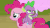 Size: 500x281 | Tagged: safe, screencap, cultivar, noi, papa beard, pinkie pie, spike, dragon, earth pony, pony, g4, newbie dash, animated, cotton candy, cotton candy vendor, discovery family logo, dragons riding ponies, female, food, male, mare, riding, spike is not amused, unamused