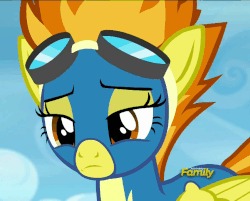 Size: 899x724 | Tagged: safe, screencap, spitfire, pegasus, pony, g4, newbie dash, animated, cute, cutefire, disappointed, discovery family logo, female, gif, head shake, lidded eyes, loop, mare, solo, spitfire is not amused, unamused, wonderbolts uniform