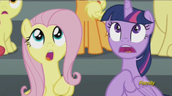 Size: 851x477 | Tagged: safe, screencap, apple bloom, applejack, fluttershy, twilight sparkle, alicorn, pony, g4, my little pony: friendship is magic, newbie dash, :o, d:, discovery family logo, female, looking up, mare, twilight sparkle (alicorn)