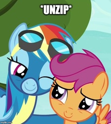 Size: 500x556 | Tagged: safe, edit, edited screencap, screencap, rainbow dash, scootaloo, pony, g4, newbie dash, caption, female, filly, image macro, mare, meme, one eye closed, out of context, wonderbolts uniform