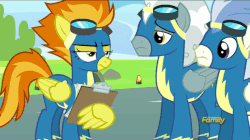 Size: 634x356 | Tagged: safe, screencap, silver lining, silver zoom, spitfire, wind waker, pegasus, pony, g4, newbie dash, animated, clipboard, discovery family logo, female, gif, loop, male, mare, puns in the comments, stallion, unamused, wing hands, wonderbolts uniform