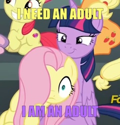 Size: 691x720 | Tagged: safe, apple bloom, applejack, fluttershy, twilight sparkle, alicorn, pony, g4, newbie dash, cutie mark, dragon ball, dragonball z abridged, female, filly, i am an adult, i need an adult, image macro, mare, meme, purple text, the cmc's cutie marks, twilight sparkle (alicorn), yellow text