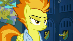 Size: 860x483 | Tagged: safe, screencap, spitfire, g4, newbie dash, animated, discovery family logo, female, male, towel