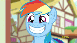 Size: 960x540 | Tagged: safe, edit, screencap, rainbow dash, g4, newbie dash, animated, discovery family, discovery family logo, female, reaction image, reversed