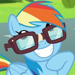 Size: 718x718 | Tagged: safe, screencap, rainbow dash, g4, my little pony: friendship is magic, newbie dash, avatar, broken glasses, egghead, female, glasses, reading rainboom, smiling, solo