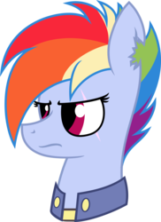 Size: 3192x4396 | Tagged: safe, artist:braziliancitizen, rainbow dash, g4, the cutie re-mark, alternate timeline, apocalypse dash, crystal war timeline, female, high res, scar, solo, torn ear