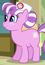 Size: 218x316 | Tagged: safe, screencap, nurse sweetheart, earth pony, pony, g4, read it and weep, cropped, female, mare, solo