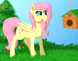 Size: 4500x3500 | Tagged: safe, artist:fia94, fluttershy, pony, g4, advent calendar, bird house, candy, candy cane, christmas, christmas tree, female, food, high res, mouth hold, solo, tree