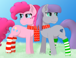 Size: 4500x3500 | Tagged: safe, artist:fia94, maud pie, pinkie pie, earth pony, pony, g4, advent calendar, christmas, clothes, high res, scarf, shared clothing, shared scarf, sisters, socks, striped socks, wrong cutie mark