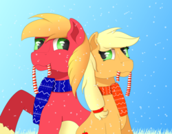 Size: 1023x796 | Tagged: safe, artist:fia94, applejack, big macintosh, earth pony, pony, g4, advent calendar, brother and sister, candy, candy cane, christmas, clothes, food, male, mouth hold, scarf, stallion