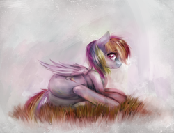 Size: 1000x765 | Tagged: safe, artist:ventious, rainbow dash, pegasus, pony, g4, butt, female, heart eyes, looking at you, lying down, on side, painted, plot, solo, wingding eyes