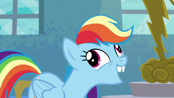 Size: 1280x720 | Tagged: safe, screencap, rainbow dash, pegasus, pony, g4, newbie dash, bucktooth, derp, female, forthright filly, mare, open mouth, outfit catalog, solo