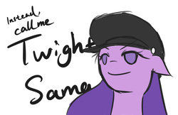 Size: 900x582 | Tagged: safe, artist:yuwentaiji, twilight sparkle, g4, hat