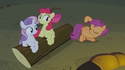 Size: 1280x720 | Tagged: safe, screencap, apple bloom, scootaloo, sweetie belle, earth pony, pegasus, pony, unicorn, g4, sleepless in ponyville, belly, butt wings, cutie mark crusaders, female, filly, not sure if want, sitting