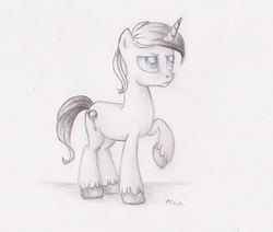 Size: 3074x2612 | Tagged: safe, artist:vird-gi, oc, oc only, pony, raised hoof, solo, traditional art