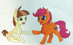 Size: 1109x679 | Tagged: safe, artist:lowkeydowkey, featherweight, scootaloo, g4, commission, cutie mark, the cmc's cutie marks