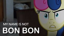 Size: 2048x1140 | Tagged: safe, artist:stormxf3, bon bon, sweetie drops, dog, g4, i don't care, irl, mouthpiece, op is a duck, photo, ponies in real life