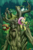 Size: 1600x2400 | Tagged: safe, artist:prismspark, fluttershy, tree hugger, earth pony, ent, pegasus, pony, g4, crossover, fangorn, fluttertree, lord of the rings, smiling, treebeard, trio