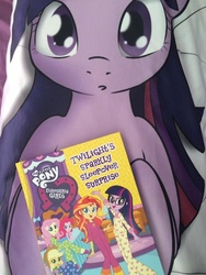 Size: 720x960 | Tagged: safe, applejack, fluttershy, pinkie pie, sunset shimmer, twilight sparkle, equestria girls, g4, body pillow, book, merchandise, pillow