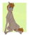 Size: 540x650 | Tagged: safe, alternate version, artist:knifebun, oc, oc only, oc:lardon, pony, blushing, heart eyes, hoers, male, solo, stallion, wingding eyes