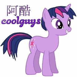 Size: 695x695 | Tagged: safe, twilight sparkle, g4, chinese, female, solo