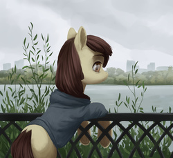 Size: 3000x2742 | Tagged: safe, artist:aphphphphp, apple bloom, earth pony, pony, g4, clothes, dock, female, fence, filly, foal, high res, missing accessory, missing cutie mark, outdoors, railing, river, solo, sweater