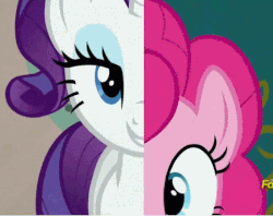 Size: 481x380 | Tagged: safe, screencap, pinkie pie, rarity, pony, g4, spice up your life, animated, female, split screen